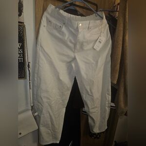 Splendid Collection Carson Pants
